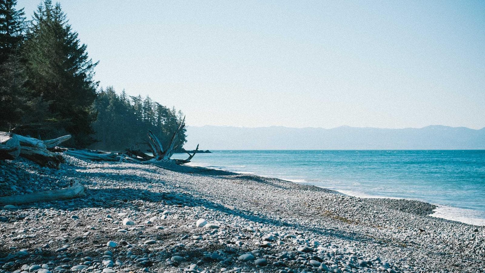 SABAKO team at work in our Jakarta office